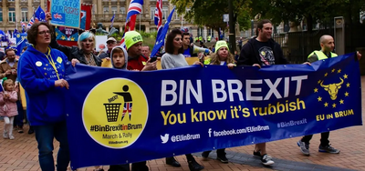 Anti Brexit Banner